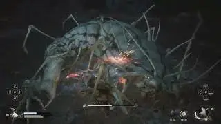 bug stomper