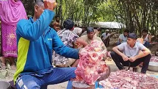Meet Cutting Skills