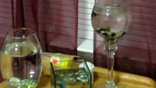 Guided Tour of an East Campus Dorm