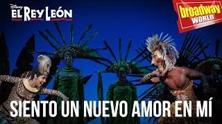 EL REY LEÓN - Siento Un Nuevo Amor En Mí (Madrid, 2019)