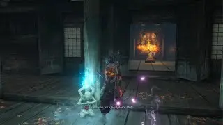Sekiro: inner isshin (no hit)