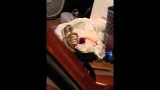 pellet/bb gun collection and paintball gun