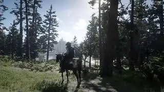 Boyd the bounty hunter Red Dead Redemption 2  rdo #rdr2 #Rdo