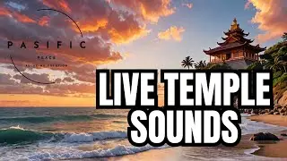 24/7 Shinto Shrine Ambience for Meditation : Sacred Sounds for Inner Harmony 🕊️🎼