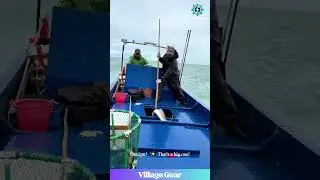 Spearfishing an EEL looks WILD! 🤯 That's a Big Sea Noodle! #fishinglife #spearfishing #eel #wow