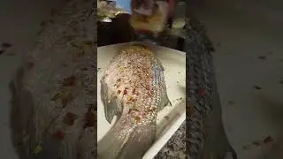 Catch and cook white bass#beachfishing#cooking#fishing