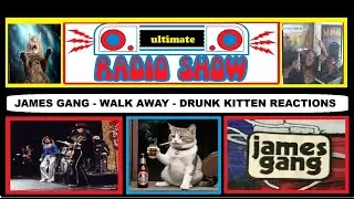 JAMES GANG - WALK AWAY - DRUNK KITTEN REACTIONS
