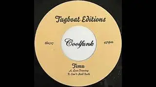 Temu - Love Dancing  (Modern Funk)