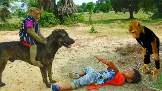 Help Me PLease ! Vithu Want To Jump Schuten, Super Prank Like This