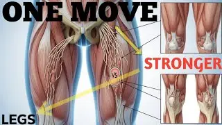 Over 75 This 1 Simple Exercise Beats Walking For Balance & Muscle Surgeon Approved 