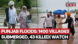 Punjab Floods: 1400 Villages Submerged, 43 Killed, Kerjriwal Takes Stock Of Situation | Watch