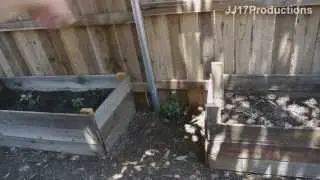 DIY Home improvement. How to build cheap raised garden beds. Organic vegetables