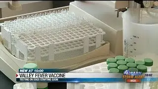 Moving closer to a valley fever vaccine