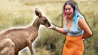 American girl meets Kangaroo