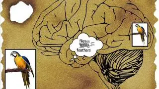 Brain Awareness Video Contest: The Treasure Hunt
