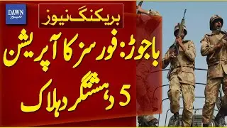Bajaur: Forces Operation, 5 Terrorists Killed | Breaking News | Dawn News