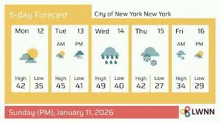 Weather in City of New York New York - Sunday, Jan 11, 2026