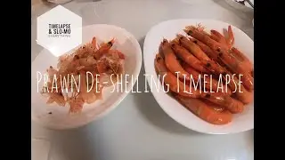 Prawn De-shelling Timelapse ~ Timelapse and Slo-mo Everything