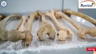 Jalalabad State Medical University | Best Video for Jalalabad State University
