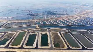 Tiến độ Vinhomes Green Paradise Cần Giờ sáng ngày 29/12/2025.