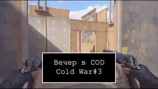 Вечер в COD Cold War#3