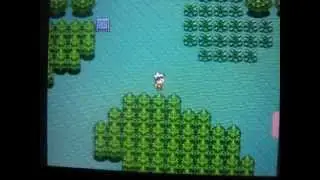 Pokemon on Petit Computer #3 UNFINISHED Update