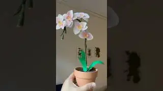 Paper orchid flower