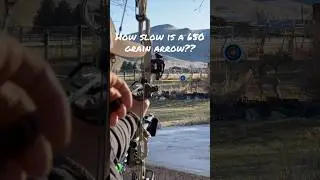 How slow is a 650 grain arrow??? #archery #elk #deer #antelope