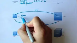 Length, area and volume scale factors explained