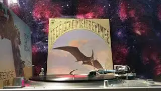 The Flock (Dinosaur Swamps) - Side 1