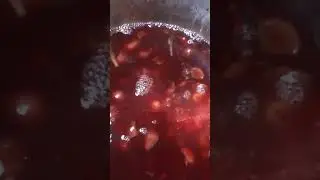 вино наливка