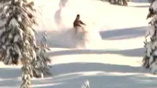 43 productions sled trailer