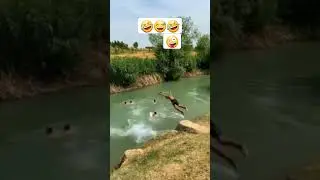 🤪дустим,дустим..