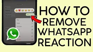 How to Delete Reaction on Whatsapp Message 2022
