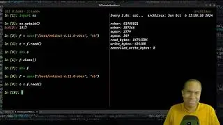 Gather and Monitor I/O Statistics of a Process on Linux via /proc interface