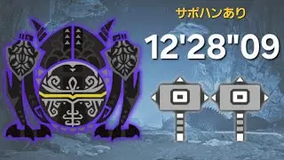 【MHWilds】零式オメガ・プラネテス検証戦 ハンマーペア 12'28