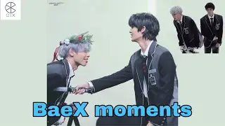 CIX ‘BX x BaeBae’ ‘BaeX’ moments that I think a lot pt5