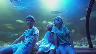 5 Family Friendly Attractions in San Diego