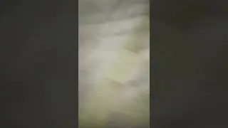#shawldesign