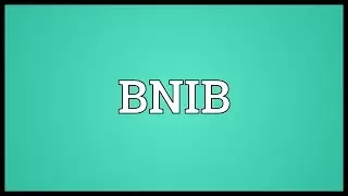 BNIB Meaning