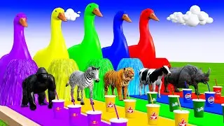 Choose Right Drink with Cow Elephant Gorilla Zebra T Rex Hippo Wild Animals Max Level Squeeze