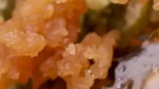 FL I-95 Crumble and Forum Cut Cookies Shatter Melt from MUV | Budsbie Burns (Ep.5)