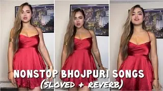 Full bhojpuri Remix slowed reverb Song Non stop bhojpuri song | Bhojpuri song mashup | New LOFI SONG