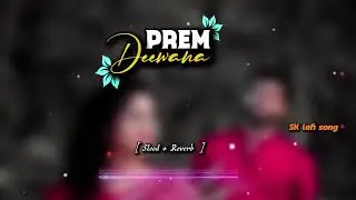 प्रेम दीवानी !! Prem Diwani !! Cg lo-fi  Song !!  #cglofisong​ #sklofisong​ #slowedreverb