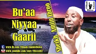 Bu'aa Niyyaa Gaarii | Sheikh Amiin Ibroo