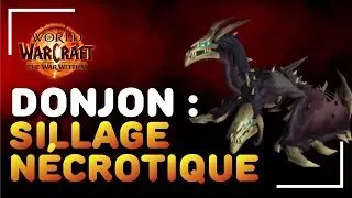 GUIDE DONJON : SILLAGE NECROTIQUE - The War Within