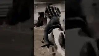 Cause I beat that boy with a bat-#barrelracing #horse #americanpaint #comment you can sub if wanted!