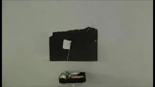 White Flag /Merav Svirsky 2011