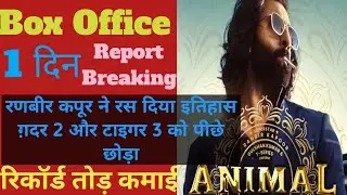 Animal Box Office Collection | Animal First Day Box Office Collection | Animal Day 1 Collection