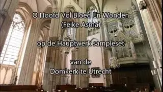 O hoofd vol bloed en wonden (FEIKE ASMA) - Jan Post